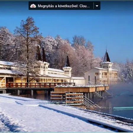 Apartment Viragoskert *