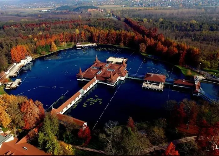 Viragoskert *