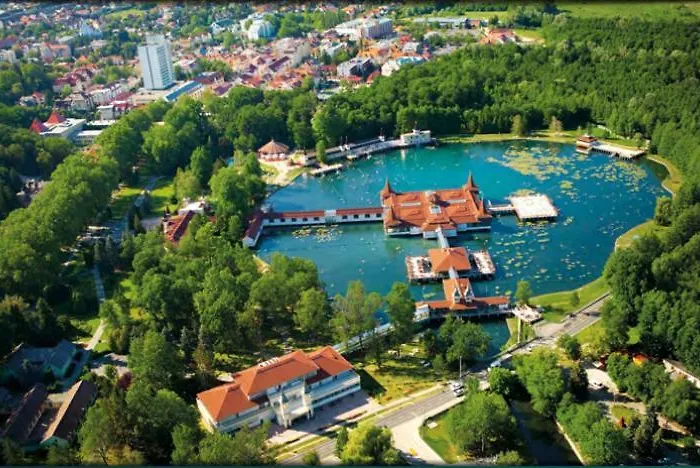 Viragoskert *